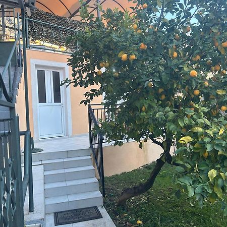 Villa Miramare , Dobrota Seafront Kotor Exterior photo